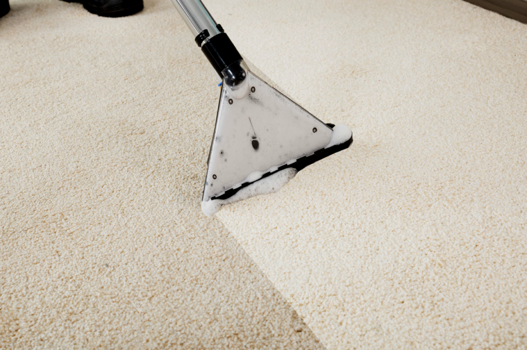 carpet cleaning sjv cleaning